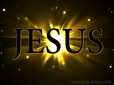 JESUS - Has Revealed God (black)